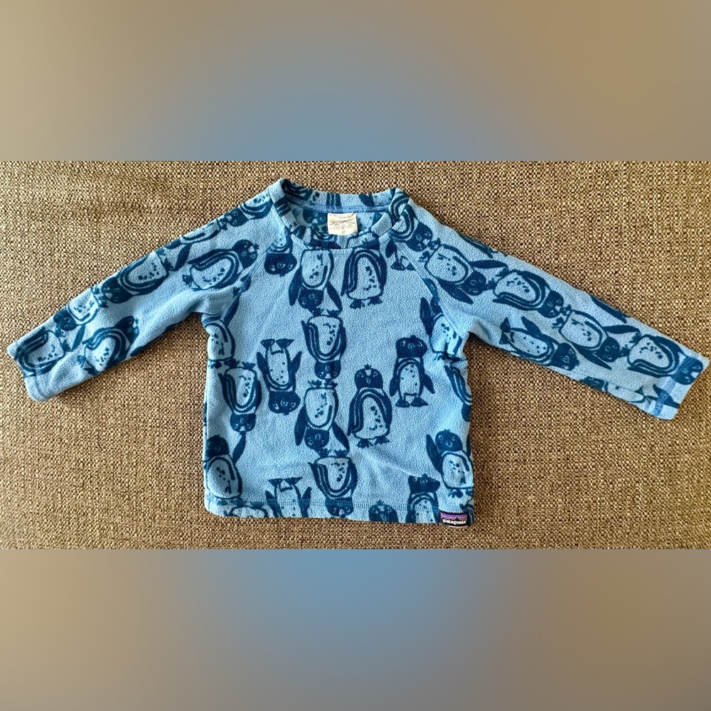 Patagonia Micro D® Fleece Crew Pullover